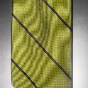 Roundtree & Yorke Tie Green with Navy Diagonal Stripes (Textured) Nordstrom